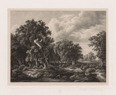 Groups of Various Plants Drawn After Nature:  No. 7, 1855. Eugene Bléry (French, 1805-1886), after