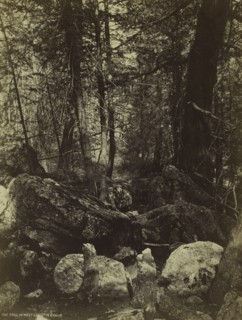 The Trail in West Gallatin Cañon, c. 1870s. William Henry Jackson (American, 1843-1942). Albumen