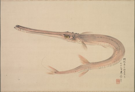 Needlefish (Yagara), 1870. Raisho Nakajima (Japanese, 1796-1871). Hanging scroll; ink and color on