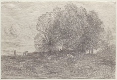 Group of Trees, 1858. Jean Baptiste Camille Corot (French, 1796-1875). Cliché-verre; sheet: 15.5 x