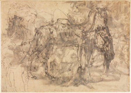Sketches of Animals (verso), c. 1545/47. Perino del Vaga (Italian, 1500/01-1547). Pen and brown ink