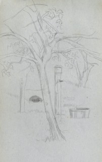 Sketchbook, page 36: Tree Study. Ernest Meissonier (French, 1815-1891). Graphite;