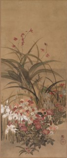Summer Flowers, mid 1600s. Kitagawa Sosetsu (Japanese, active 1639-50). Hanging scroll; ink, color,