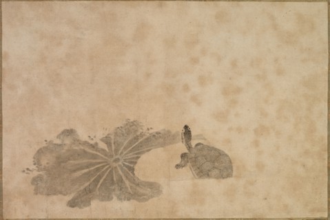 Turtle in a Lotus Pond, 18th century. Japan, Edo period (1615-1868). Hanging scroll; ink on paper;