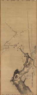 Sparrows on Blossoming Plum, 17th century. Attributed to Kano Tan’yu (Japanese, 1602-1674). Hanging