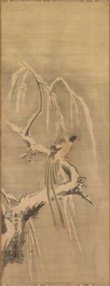 Chinese Bird on Snow-Laden Branch, 17th century. Kano Tan’yu (Japanese, 1602-1674). Hanging scroll;