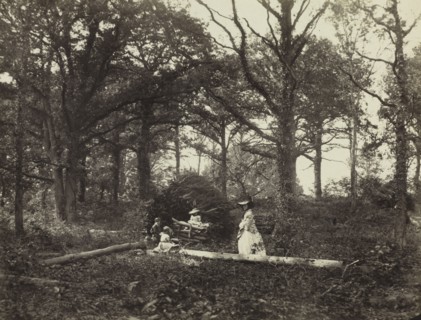 Landscape, 1856. Henry White (British, 1819-1903). Albumen print from wet collodion negative;