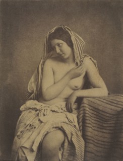 Study after Nature, c. 1853-1855. Julien Vallou de Villeneuve (French, 1795-1866). Waxed salt print