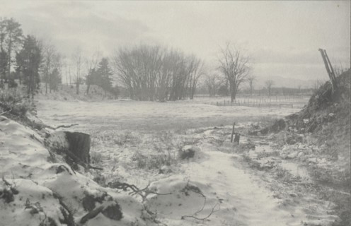 Untitled (Winter Landscape), c. 1900. William B. Post (American, 1857-1925). Platinum print; image:
