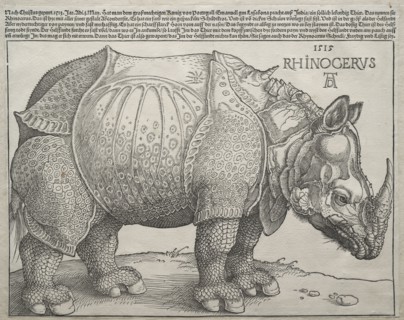 The Rhinoceros, 1515. Albrecht Dürer (German, 1471-1528). Woodcut; image: 23.8 x 30.1 cm (9 3/8 x