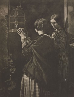 Camera Work: The Bird-Cage, 1909. David Octavius Hill (British, 1802-1870), and Robert Adamson