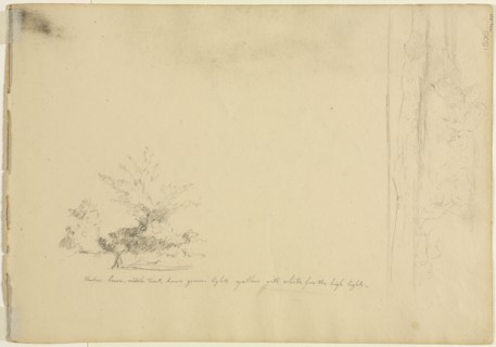 Landscape and Tree Studies (verso), c. 1851. David Johnson (American, 1827-1908). Graphite; sheet: