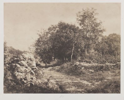 Untitled (Scene of Fontainbleau), c. 1853. André Giroux (French, 1801-1879). Salted paper print