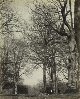 The History of Windsor's Great Park and Windsor Forest by William Menzies (book): Queen Adelaide's
