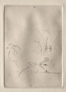 The Duck, 1888-90. Berthe Morisot (French, 1841-1895). Etching and drypoint