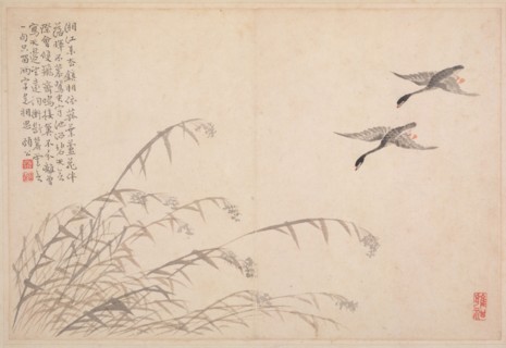 Album of Calligraphy and Paintings, 18th Century. Bian Shoumin (Chinese, 1684-1752). Album leaf;
