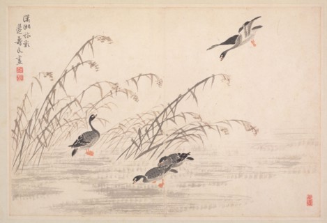 Album of Calligraphy and Paintings, 18th Century. Bian Shoumin (Chinese, 1684-1752). Album leaf;