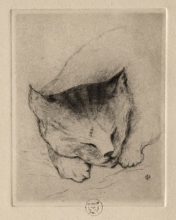 Six Etchings: Head of a Kitten, 1895. Paul Gachet (French, 1828-1909). Etching and drypoint; sheet:
