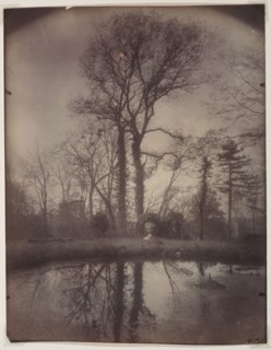 Sceaux series #37: The Park at Sceaux [April 1925, 7a.m.], 1925. Eugène Atget (French, 1857-1927).