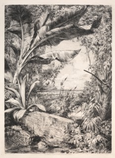 Plants of the Greenhouse, 1872. Jules Jacquemart (French, 1837-1880), A. Cadart & Luquet, 79, rue