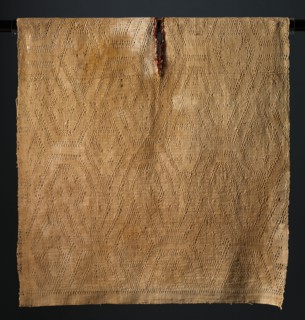Tunic with Double-headed Serpents, 400-200 BC. Peru, South Coast, Ica Valley, Ocucaje site?,
