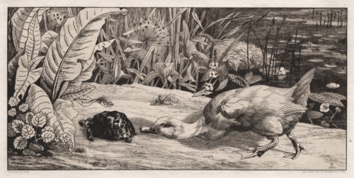 The Unknown, 1862. Félix Bracquemond (French, 1833-1914), A. Cadart & F. Chevalier, rue Richelieu,