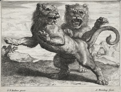 Various Lions. Abraham Blooteling (Dutch, 1640-1690), after Peter Paul Rubens (Flemish, 1577-1640).