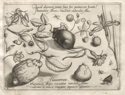 Archetypes and Studies: What can emerge in keeping with such a cavernous promise? (Part IV, plate