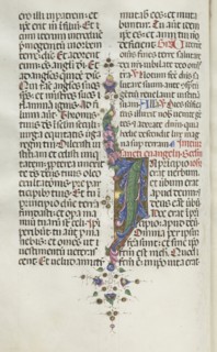 Missale: Fol. 22v: Foliage with Fish, 1469. Bartolommeo Caporali (Italian, c. 1420-1503), assisted
