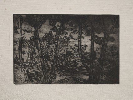 Trees at Night, c. 1894. Armand Séguin (French, 1869-1903). Etching (sugar-lift aquatint?); sheet: