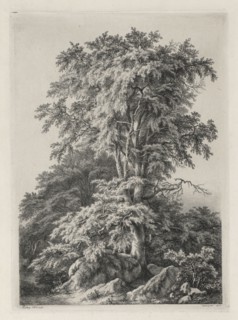 Studies Drawn and Engraved after Nature: The Beach, Fontainbleau (Études dessinées et Gravées