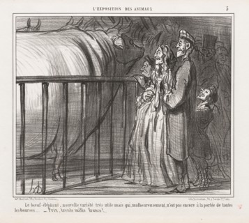 Exposition of Animals : Pl. 5, The Cow-Elephant, New Variety (L'Exposition des Animaux: Pl. 5, Le
