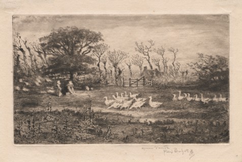 Geese , 1887. Félix Hilaire Buhot (French, 1847-1898). Etching; sheet: 19.6 x 29 cm (7 11/16 x 11