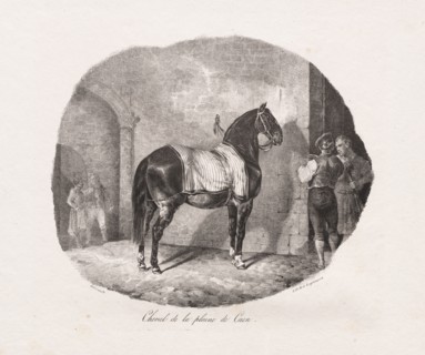 Lithographed Studies of Horses: Pl. 7, Horse from the Caen Plain , 1822. Théodore Géricault
