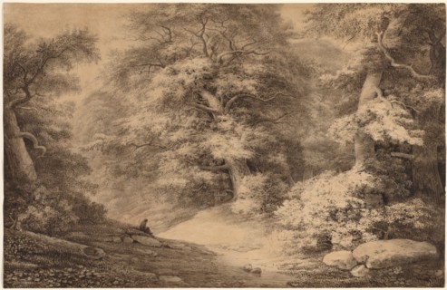 A Beech Wood with a Resting Traveler, 1803. Christoph Nathe (German, 1753-1806). Brown and gray