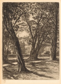 Kensington Gardens, No. 1 (Small Plate), 1859. Francis Seymour Haden (British, 1818-1910). Etching;