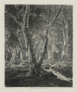 Bois de Pierrefonds, 1874. Adolphe Théodore Jules Martial Potémont (French, 1828-1883). Etching;