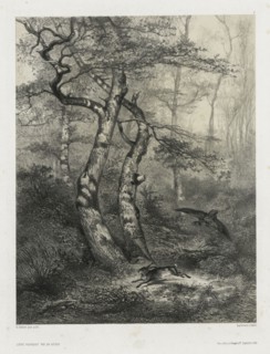Hare Pursued by a Goshawk, 1858. Karl Bodmer (Swiss, 1809-1893), Goupil & Co., Paris. Lithograph on