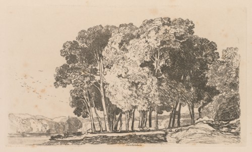 Liber Studiorum: Plate 3, Trees near Twickenham, 1838. John Sell Cotman (British, 1782-1842).