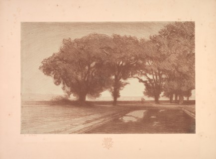 Suite de Paysages: Landscape, Plate 8, Remarque, Pansies, 1892-1893. Charles Marie Dulac (French,