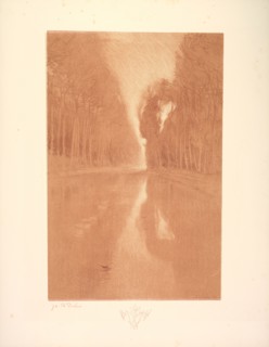Suite de Paysages: Landscape, Plate 2, Remarque, Starflowers, 1892-1893. Charles Marie Dulac