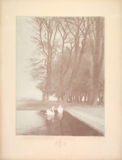 Suite de Paysages: Landscape, Plate 6, Remarque, Lilies, 1892-1893. Charles Marie Dulac (French,