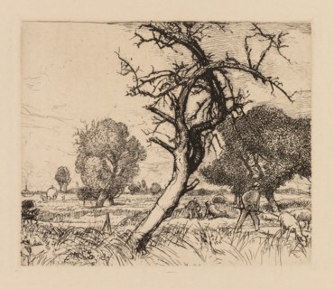Auguste Lepère: Le pommier mort (Picardie), 1913. Auguste Louis Lepère (French, 1849-1918).