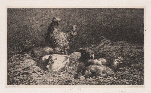 Chickens (Poutes), 1867. Charles-Émile Jacque (French, 1813-1894). Etching on chine collé