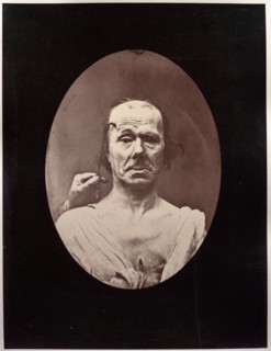 Mécanisme de la physionomie humaine: Figure 7: Étude du méchanisme et de l'expression du muscle
