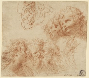 Sheet of Studies; Giulio Cesare Procaccini, Italian, Bolognese, 1574 - 1625, about 1612; Red chalk; 24 x 26.4 cm