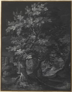 Forest Scene; Circle of Gillis van Coninxloo, Flemish, 1544 - 1607, about 1595 - 1610; Brush and gray and white gouache