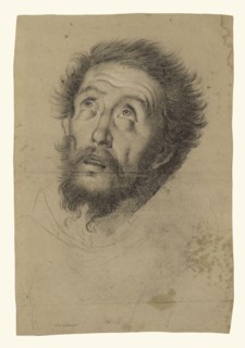 Head of Saint Francis, recto, Studies of the Head of Saint Francis, Head of an Old Man, and Two Right Hands, verso, Bernardo