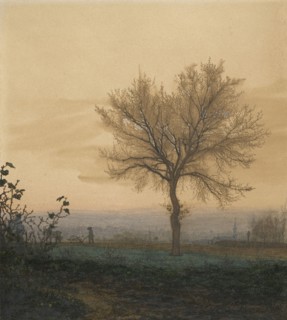 Landscape with a Bare Tree and a Plowman; Léon Bonvin, French, 1834 - 1866, France; 1864; Pen and brown ink, watercolor