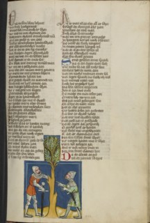 Jonathan Disobeying the Prohibition to Eat; Regensburg, Bavaria, Germany; about 1400 - 1410; Tempera colors, gold, silver paint